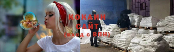 трава Магас