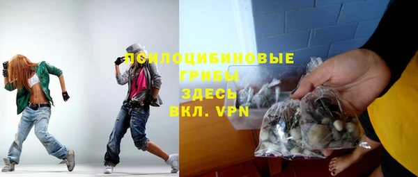 трава Магас