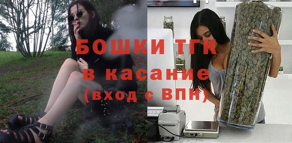 трава Магас