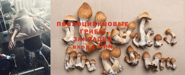 МДПВ Коряжма