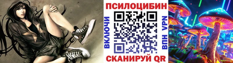Псилоцибиновые грибы Cubensis Вышний Волочёк